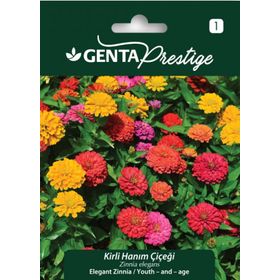 Genta Prestige Kirli Hanım Çiçeği Tohumu