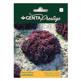 Genta Prestige Kırmızı Marul Lolo Rosso Tohumu