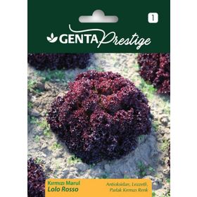 Genta Prestige Kırmızı Marul Lolo Rosso Tohumu