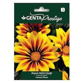 Genta Prestige Koyun Gözü Çiçeği