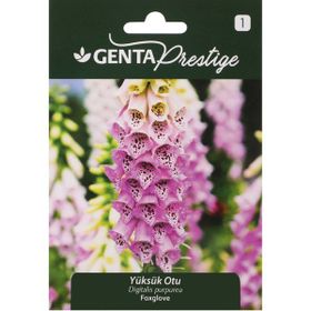 Genta Prestige Kozmos Çiçeği Meksika Yıldızı Tohumu