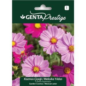 Genta Prestige Kozmos Çiçeği Meksika Yıldızı Tohumu