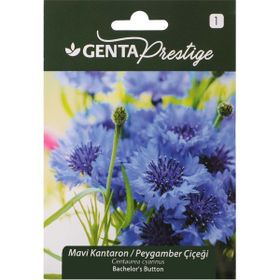 Genta Prestige Mavi Kantaron Peygamber Çiçeği Tohumu