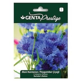 Genta Prestige Mavi Kantaron Peygamber Çiçeği Tohumu