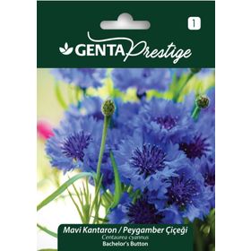 Genta Prestige Mavi Kantaron Peygamber Çiçeği Tohumu