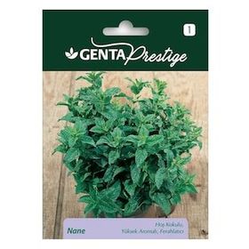 Genta Prestige Nane Tohumu