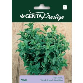Genta Prestige Nane Tohumu