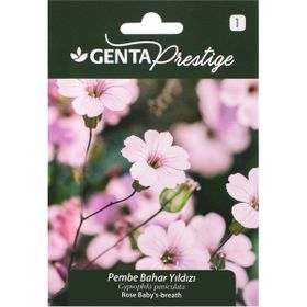Genta Prestige Pembe Bahar Yıldızı Tohumu