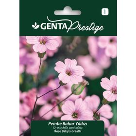 Genta Prestige Pembe Bahar Yıldızı Tohumu