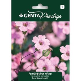 Genta Prestige Pembe Bahar Yıldızı Tohumu