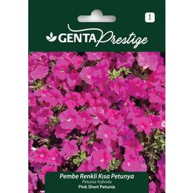 Genta Prestige Pembe Renkli Kısa Petunya Tohumu