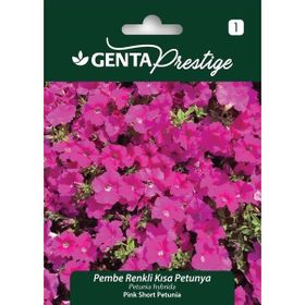 Genta Prestige Pembe Renkli Kısa Petunya Tohumu