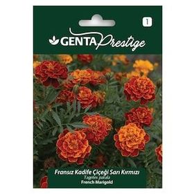Genta Prestige Sarı Kırmızı Fransız Kadife Çiçeği Tohumu