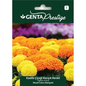 Genta Prestige Semizotu Tohumu