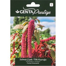 Genta Prestige Solmaz Çiçek Tilki Kuyruğu Tohumu