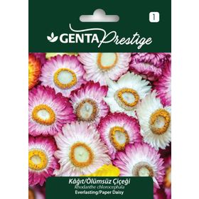 Genta Prestige Tunbergiya Karagözlü Suzan Sarmaşığı Tohumu