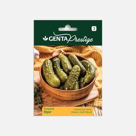 Genta Prestige Turşuluk Hıyar Tohumu