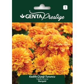 Genta Prestige Turuncu Kadife Çiçeği Tohumu