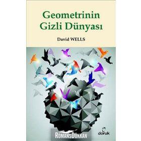 GEOMETRININ GIZLI DÜNYASI - DAVID WELLS