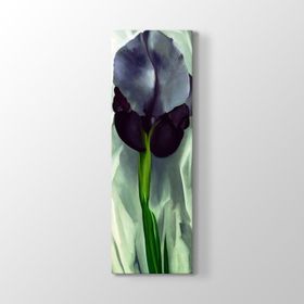 Georgia OKeeffe - Black Iris Tablosu