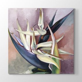 Georgia OKeeffe - White Bird Of Paradise Tablosu