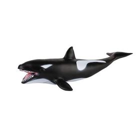 Gepettoys JQ-008B Deniz Hayvanları Eğitici Oyunlar