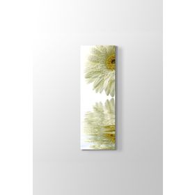 Gerbera Yansıması Tablosu