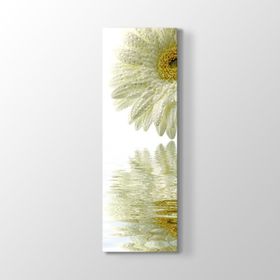 Gerbera Yansıması Tablosu