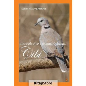 Gerçek Bir Yaşam Öyküsü Çibi - Şehim Atalay Sancar