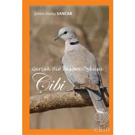 Gerçek Bir Yaşam Öyküsü Çibi - Şehim Atalay Sancar