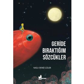 Geride Bıraktığım Sözcükler - Çınar Yayınları