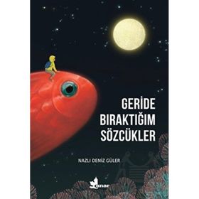 Geride Bıraktığım Sözcükler - Çınar Yayınları