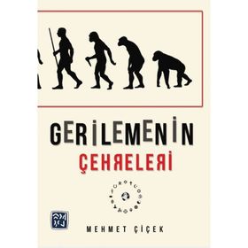 Gerilemenin Çehreleri - Mehmet Çiçek