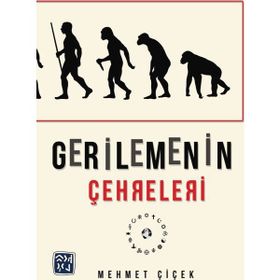 Gerilemenin Çehreleri - Mehmet Çiçek