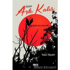 Geriye Aşk Kalır - Yalım Yılaydın