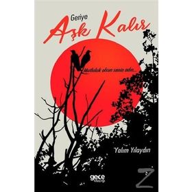 Geriye Aşk Kalır - Yalım Yılaydın