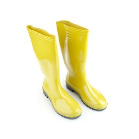 Gezer Pvc Uzun No:40 İşçi Çizmesi