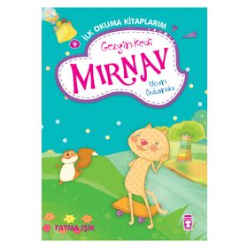 GEZGIN KEDI MIRNAV UÇAN BALONDA - FATMA IŞIK