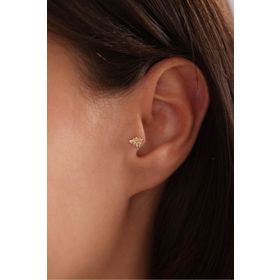 Gianfranco 14 Ayar Arı Tragus Altın Küpe