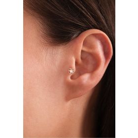 Gianfranco 14 Ayar Taşlı Çiçek Tragus Altın Küpe