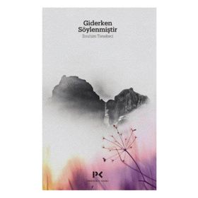 GIDERKEN SÖYLENMİŞTİR - İBRAHİM TENEKECI