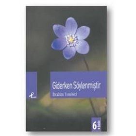 GIDERKEN SÖYLENMİŞTİR - İBRAHİM TENEKECI