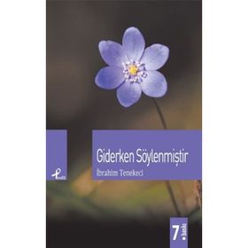 GIDERKEN SÖYLENMİŞTİR - İBRAHİM TENEKECI