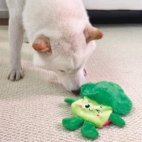 Gigwi Suppa Puppa Sesli Brokoli 14x19.1x2.5 cm Köpek Oyuncağı