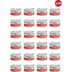 GimCat Shinycat Jelly Jöle İçinde Somon Balıklı 24x70 gr Kedi Konservesi