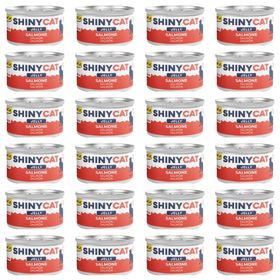 GimCat Shinycat Jelly Jöle İçinde Somon Balıklı 24x70 gr Kedi Konservesi
