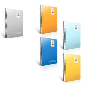 Gıpta 1344 Chromo Spiralli PP Kapak A4 Kareli 160 Yaprak Defter