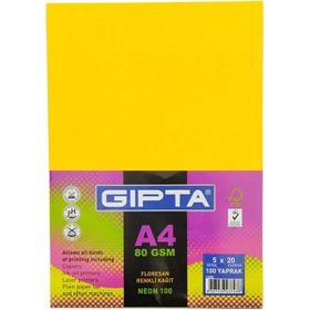 Gıpta 1530 A4 5 Neon Renk 100 Fotokopi Kağıdı