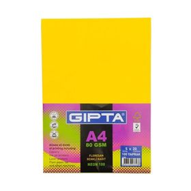 Gıpta 1530 A4 5 Neon Renk 100 Fotokopi Kağıdı