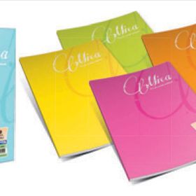 Gıpta 2054 Mica Tel Dikişli Pp Kapak A5 80 Yaprak Çizgili Defter